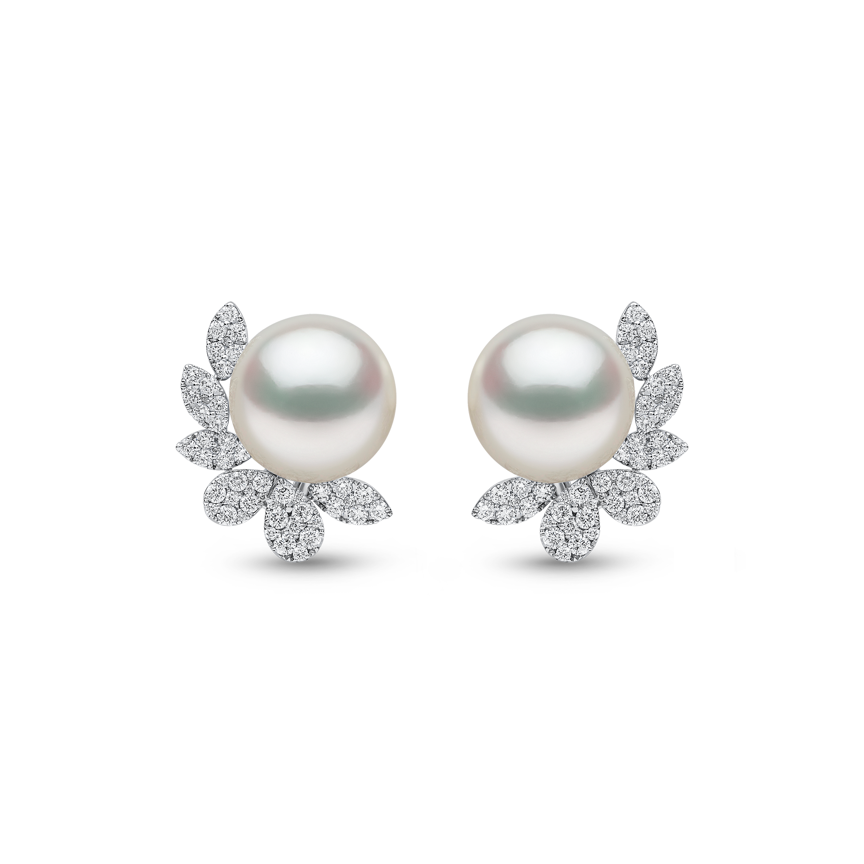 Duchess 18K Gold South Sea Pearl and Diamond Flutter Earrings